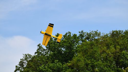 DSC 6110
