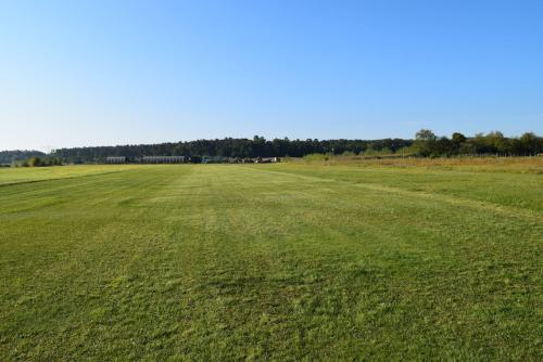 06 DSC 3446