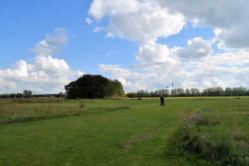 24 DSC 3537