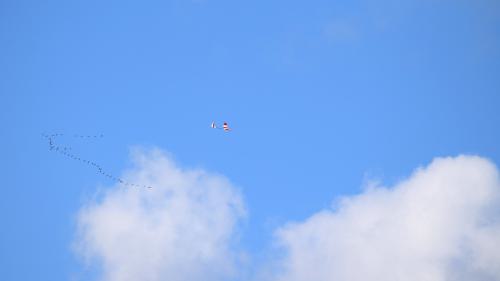 76 DSC 3728