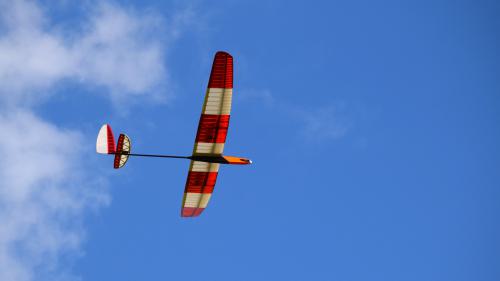 81 DSC 3742