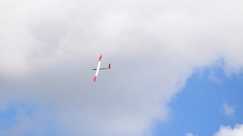 87 DSC 3756