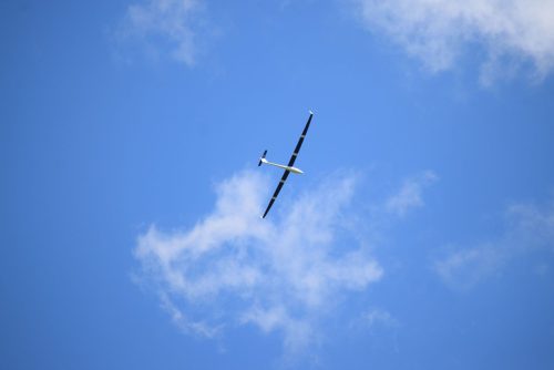 DSC 6396