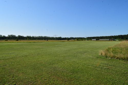 DSC 6924