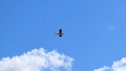 DSC 6989