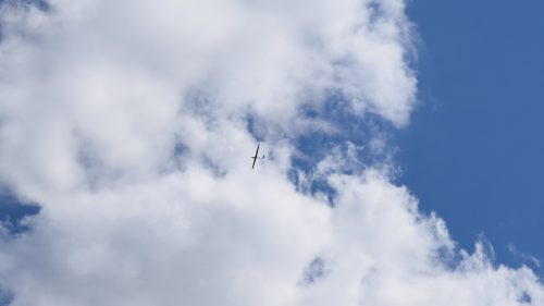 DSC 7027