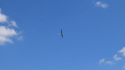 DSC 7028