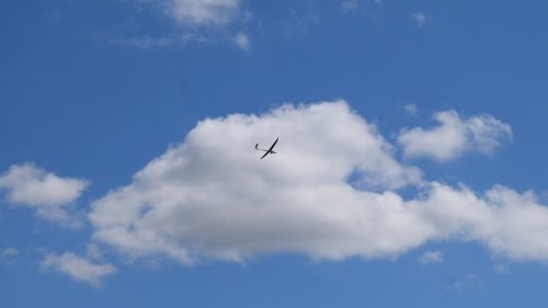 DSC 7029