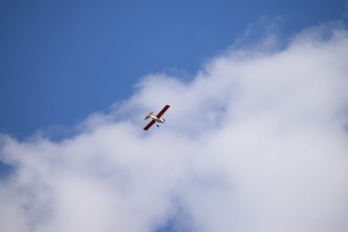 DSC 7139
