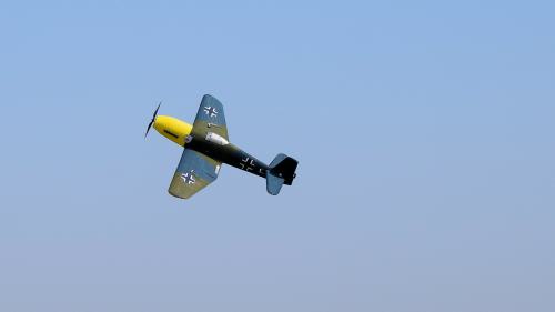 DSC 1824