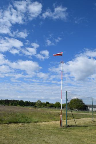 DSC 2501