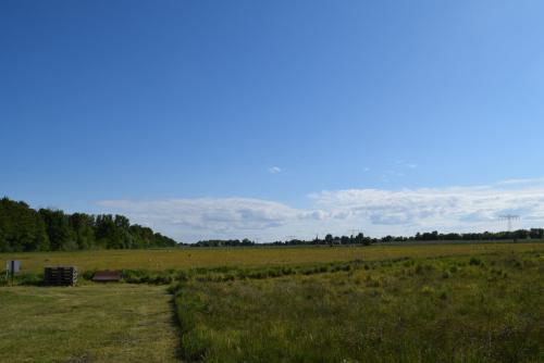 DSC 2503