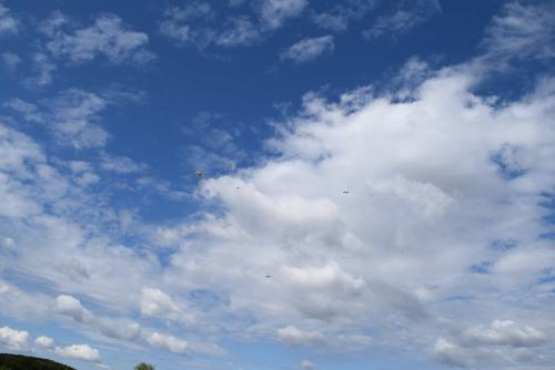 DSC 2519