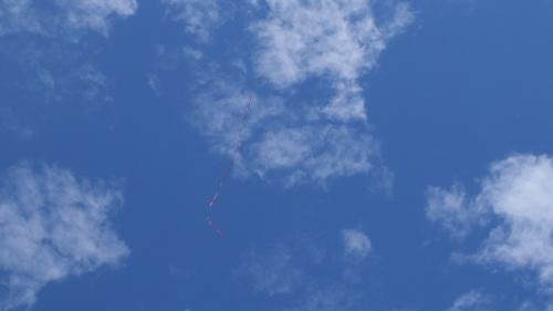 DSC 2525