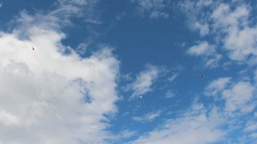 IMG 0984