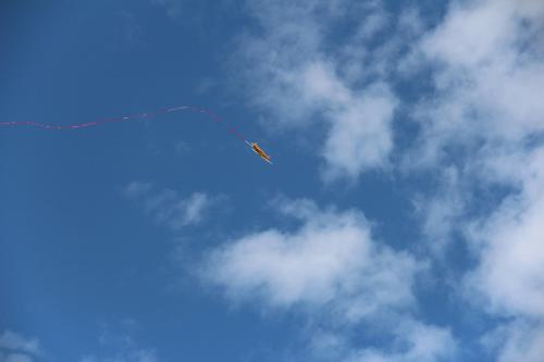 IMG 0985
