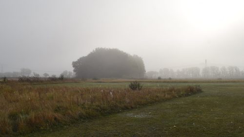 DSC 7689