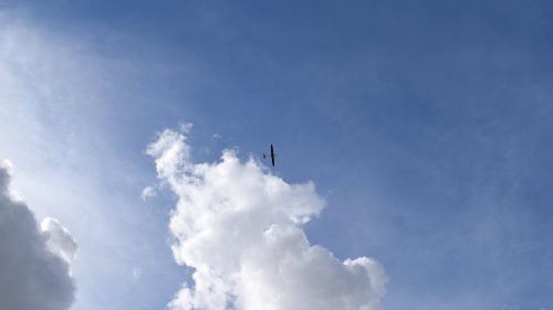 DSC 7733