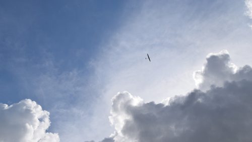 DSC 7751