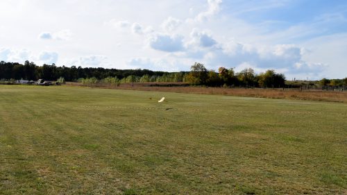 DSC 7783