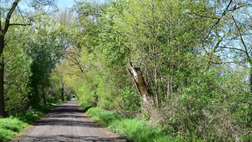 DSC 5798
