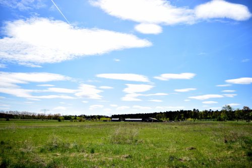 DSC 5810