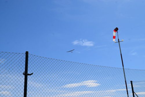 DSC 5828