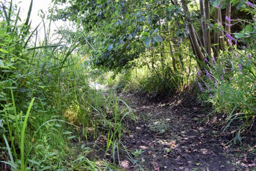 Der Graben ist ausgetrocknet.