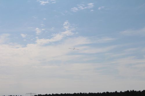 IMG 1074