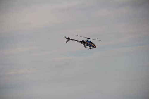 IMG 1115