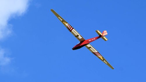 Spatz von Hansi