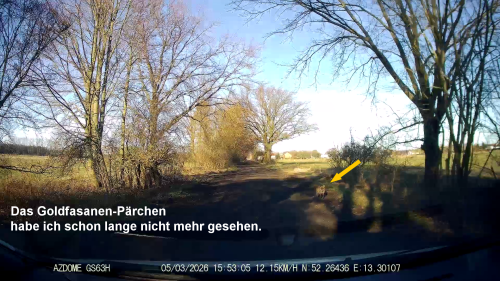 vlcsnap-2026-03-06-10h57m56s308