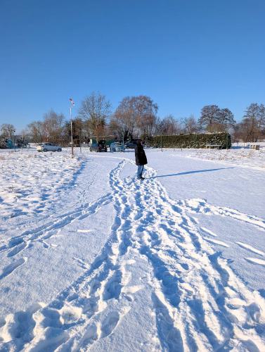 PXL 20260107 122415449.MP 