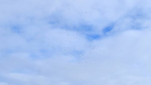 DSC 7946 01