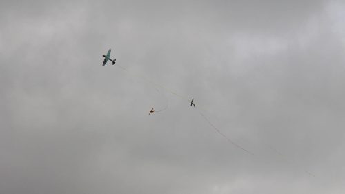 IMG 1616